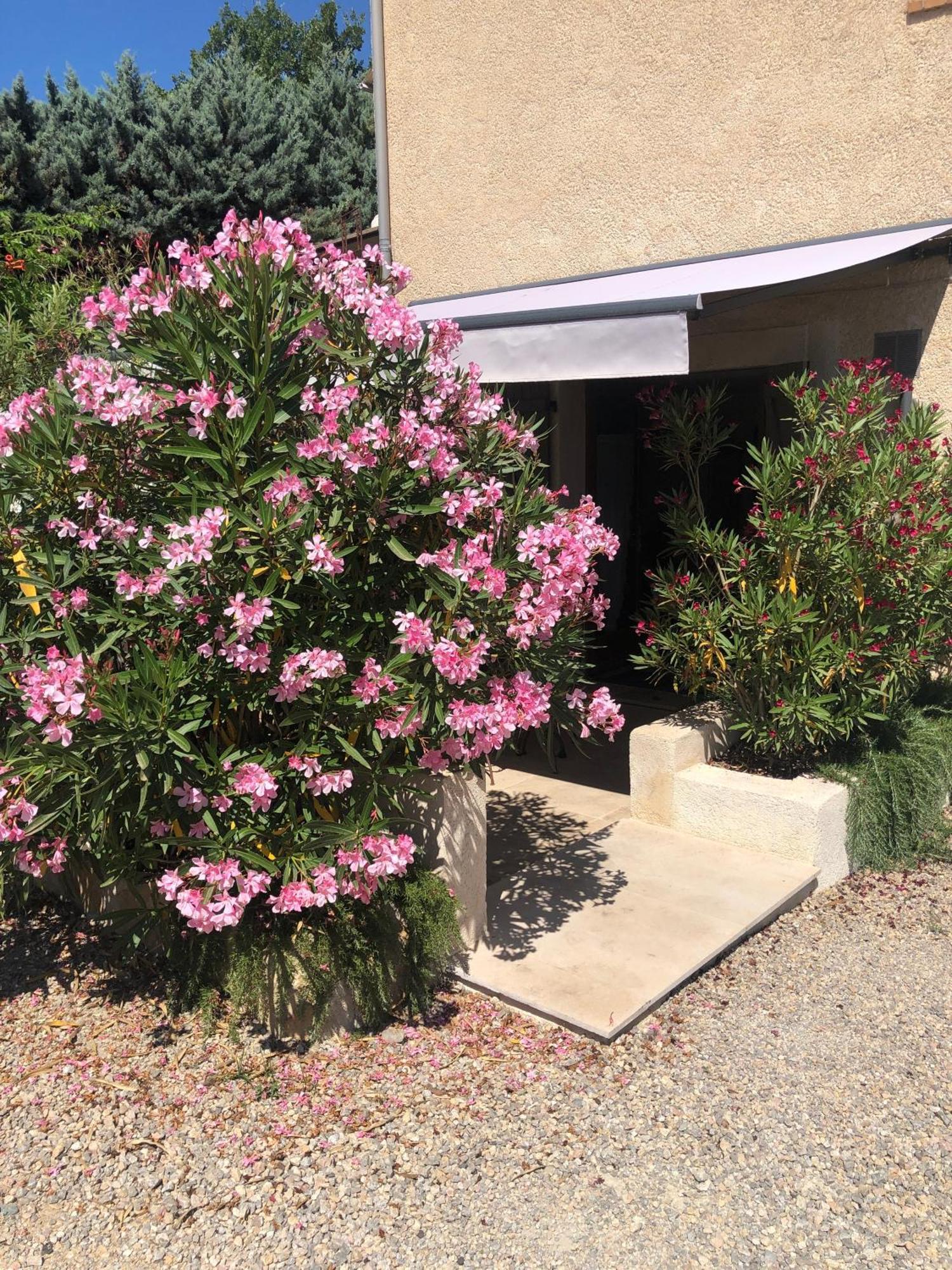Апартаменты Le Cocon De Provence Фаянс Экстерьер фото