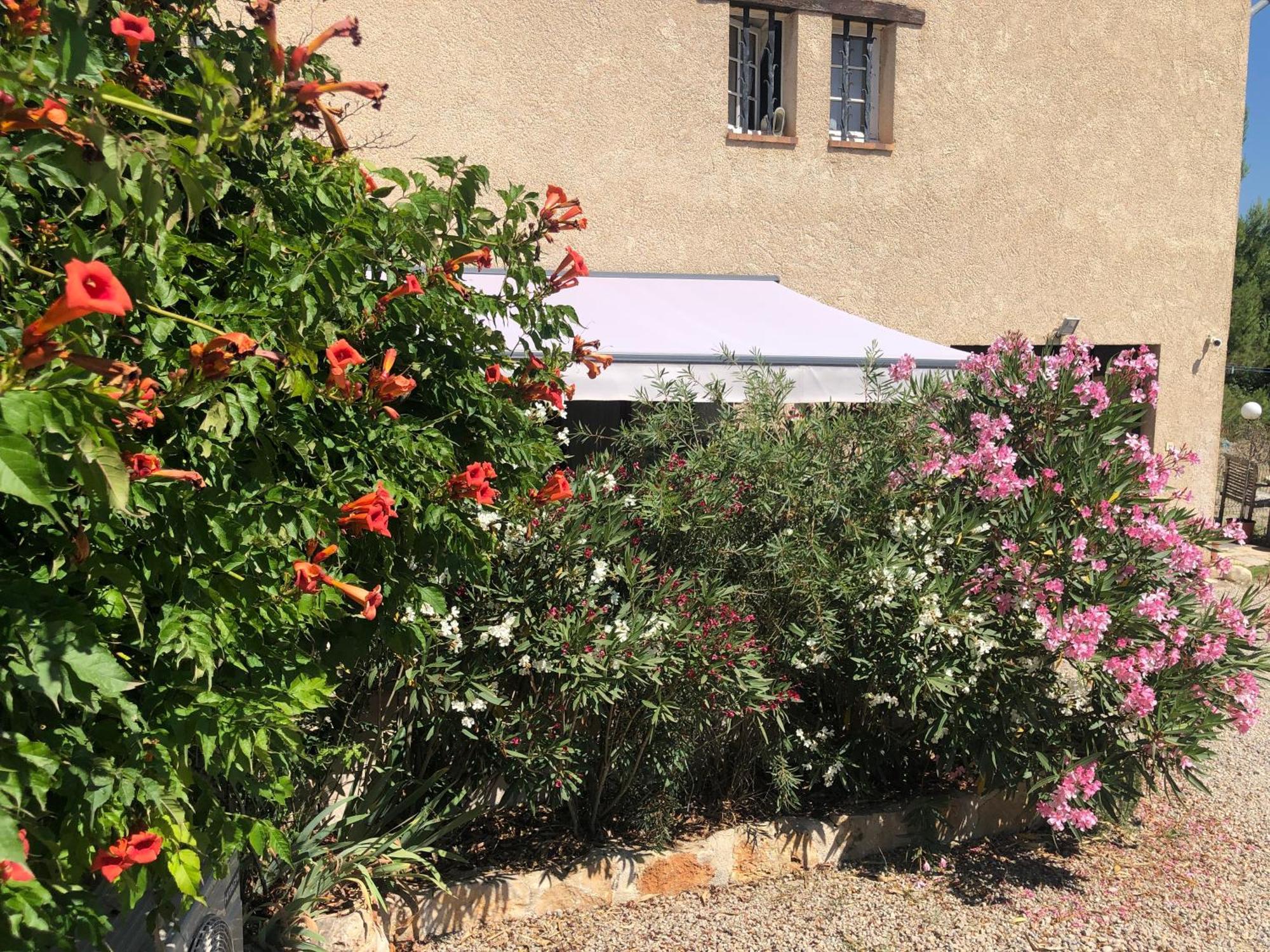 Апартаменты Le Cocon De Provence Фаянс Экстерьер фото
